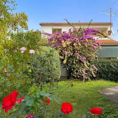 House For 12 People Close To The Sea *