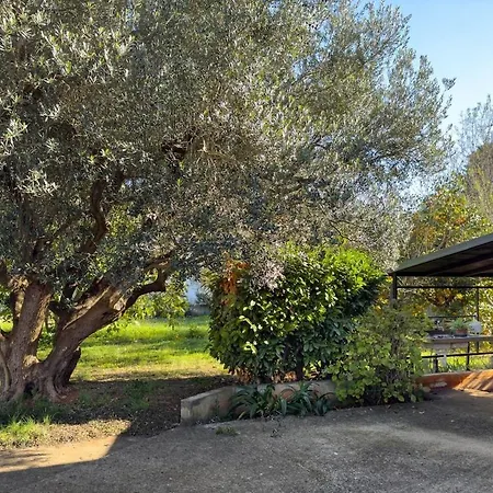 House For 12 People Close To The Sea Tatil Evi