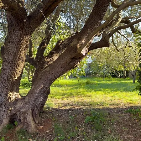House For 12 People Close To The Sea *